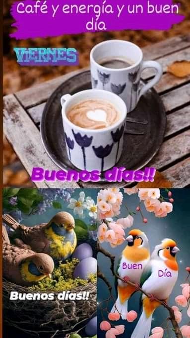 Que tengas un Bello día nuevo,Viernes. Con un fin en semana de AMOR FELICIDAD BIENESTAR SALUD Y PAZ ❤️🌊🕊️🌹🕊️🌊
#YoIzoMiBandera