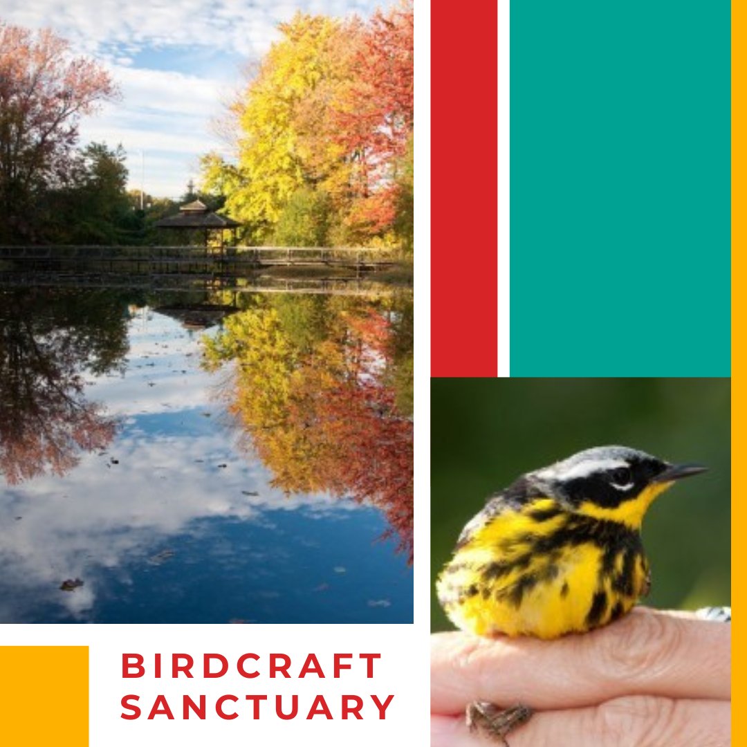 The next stop on our Heritage Trail is the Birdcraft Sanctuary in Fairfield. In 1898, CWHF Inductee, Mabel Osgood Wright,  was one of the founding members. To learn more about Mabel go to ow.ly/7pct50PpgJU @CTAudubon
