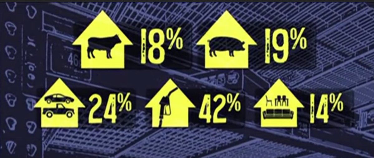 DaytonaDuke tweet media
