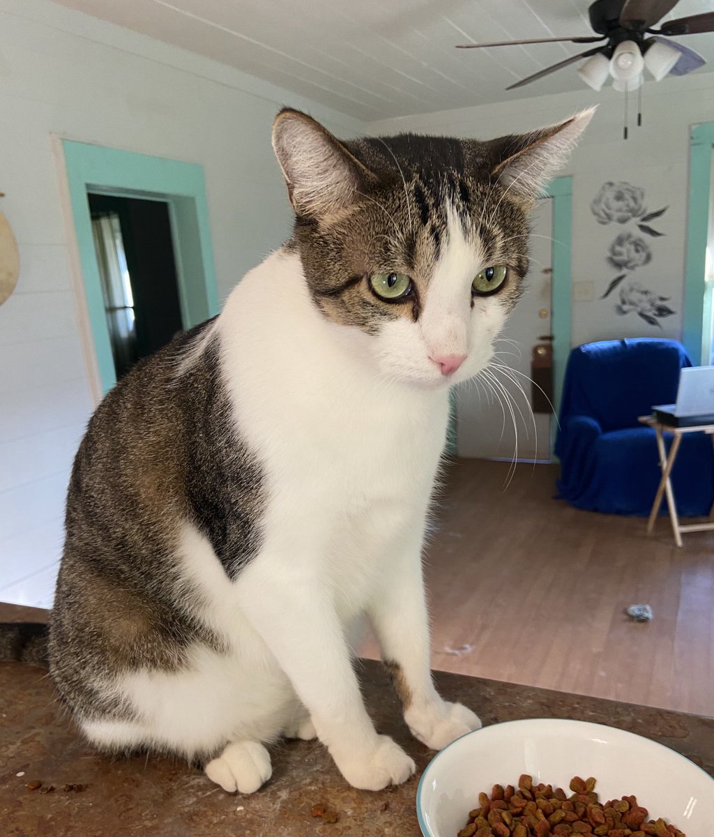 Shannon Minter tweet media