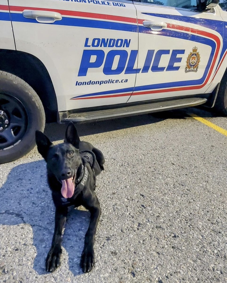 London Police Service ON tweet media