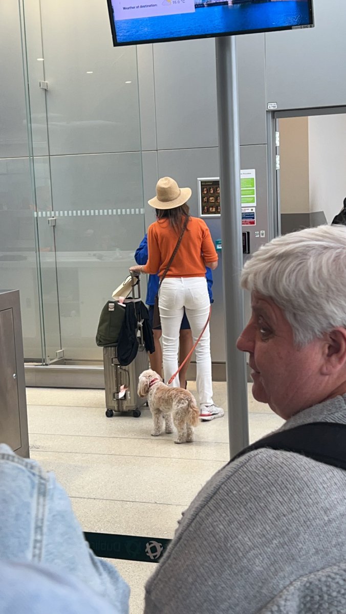 johncannon1973's tweet photo. @Ryanair I thought dogs (unless guide dogs) were not allowed on your airplanes? Last night Dublin-Liverpool FR448 #ryanair https://t.co/0HN7pLyDBT
