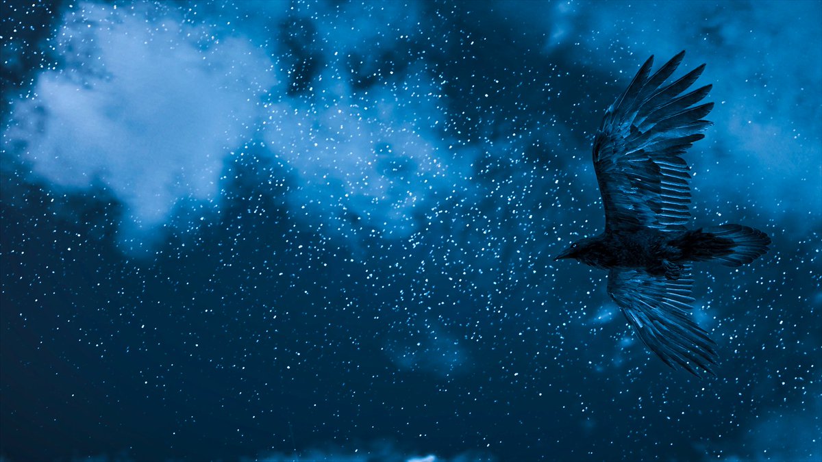 sistasangen's tweet photo. Assasin's Creed: Valhalla
#TOWCBWeeklyCaptureAC #VGPUnite #ArtisticofSociety #TheCapturedCollective #VPContext #VPRT #VirtualPhotography #ThePhotoMode #LandofVP #Picashot #VPGamers #GamerGram #VPEclipse https://t.co/JM9xaZ4xWV