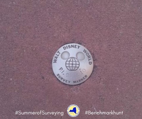 nysapls's tweet image. While some benchmarks can be unique discoveries, others, are popular finds. Do you recognize this popular benchmark? How many of you have found this one yourself? #BenchmarkHunt #NYSAPLS