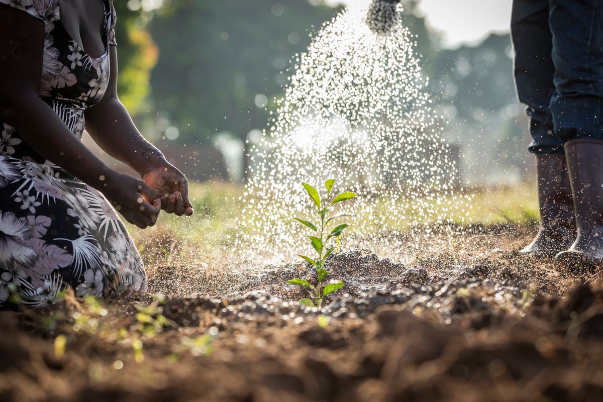 Spotlight on Africa tweet media