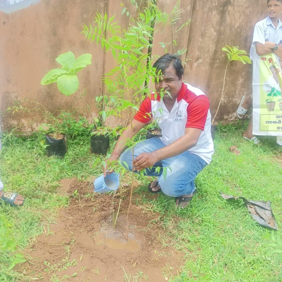 Kalahandi_YB's tweet photo. ଆଚାର୍ଯ୍ୟ ବାଳକୃଷ୍ଣ ଙ୍କ ଜନ୍ମ ଦିନରେ ନର୍ଲା ବ୍ଲକ ଅଧିନ ସରିଆଁ ସ୍ଥିତ ଭାରତୀୟ ଶିଶୁ ମନ୍ଦିର ପରିସର ରେ ଚାରା ରୋପଣ କାର୍ଯ୍ୟକ୍ରମ ଅନୁଷ୍ଠିତ ହୋଇଯାଇଛି। ନିମ୍ବ, ଚକୁଣ୍ଡା ଗିଲୋଇ, ଅଁଳା,ସଗୁଆନ ଆଦି ବୃକ୍ଷ ରୋପଣ କରାଯାଇଥିଲା। https://t.co/hs1WiREDIf