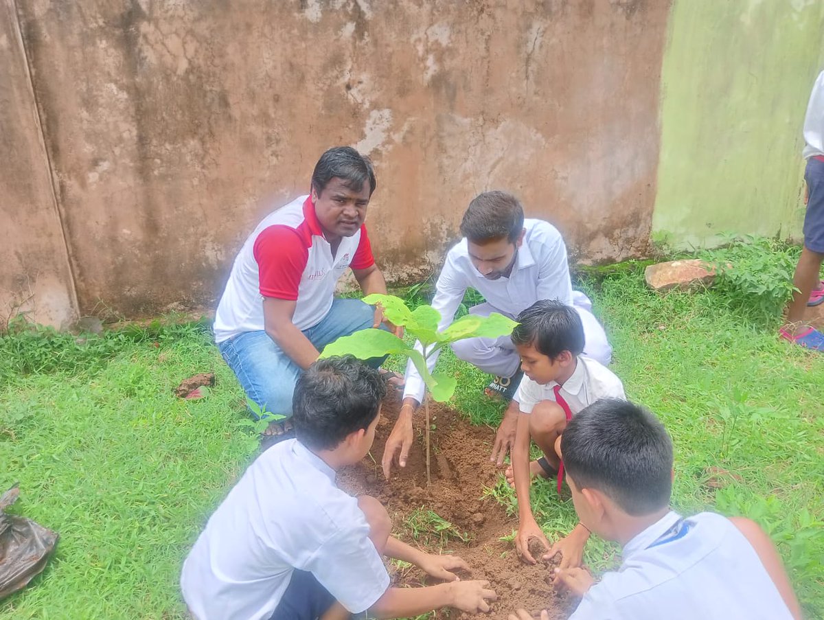 Kalahandi_YB's tweet photo. ଆଚାର୍ଯ୍ୟ ବାଳକୃଷ୍ଣ ଙ୍କ ଜନ୍ମ ଦିନରେ ନର୍ଲା ବ୍ଲକ ଅଧିନ ସରିଆଁ ସ୍ଥିତ ଭାରତୀୟ ଶିଶୁ ମନ୍ଦିର ପରିସର ରେ ଚାରା ରୋପଣ କାର୍ଯ୍ୟକ୍ରମ ଅନୁଷ୍ଠିତ ହୋଇଯାଇଛି। ନିମ୍ବ, ଚକୁଣ୍ଡା ଗିଲୋଇ, ଅଁଳା,ସଗୁଆନ ଆଦି ବୃକ୍ଷ ରୋପଣ କରାଯାଇଥିଲା। https://t.co/hs1WiREDIf