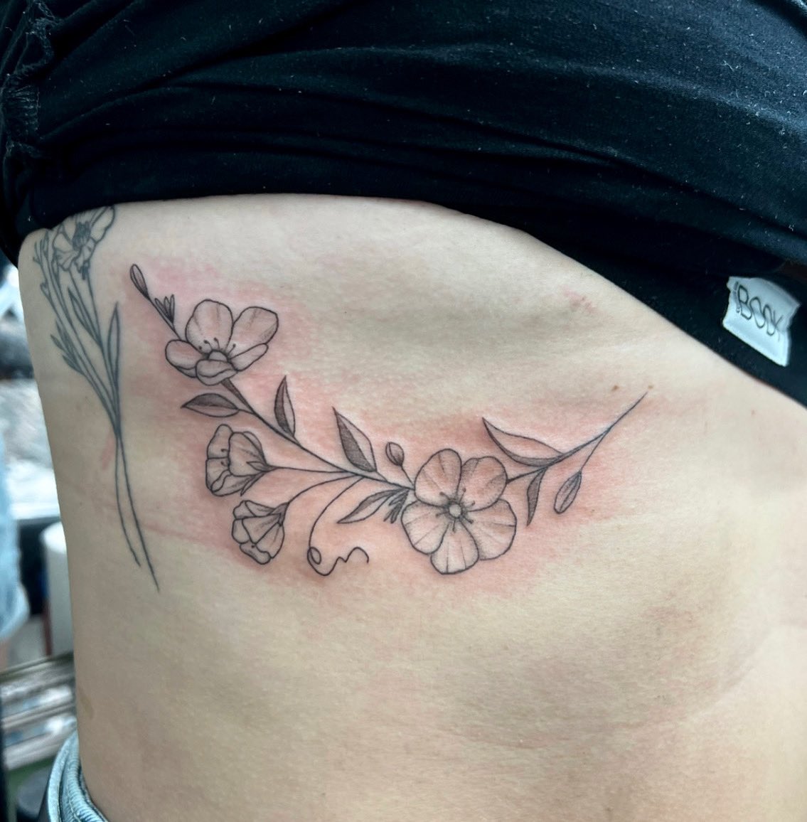 Ascetictattoo's tweet photo. Fine Line Tattoo Amsterdam by Claudia Fedorovici #finelinetattoo #floraltattoo #ribtattoo #customtattoo #amsterdamtattooartists #claudiafedorovici #ascetictattoo https://t.co/QIHt3HfCDo