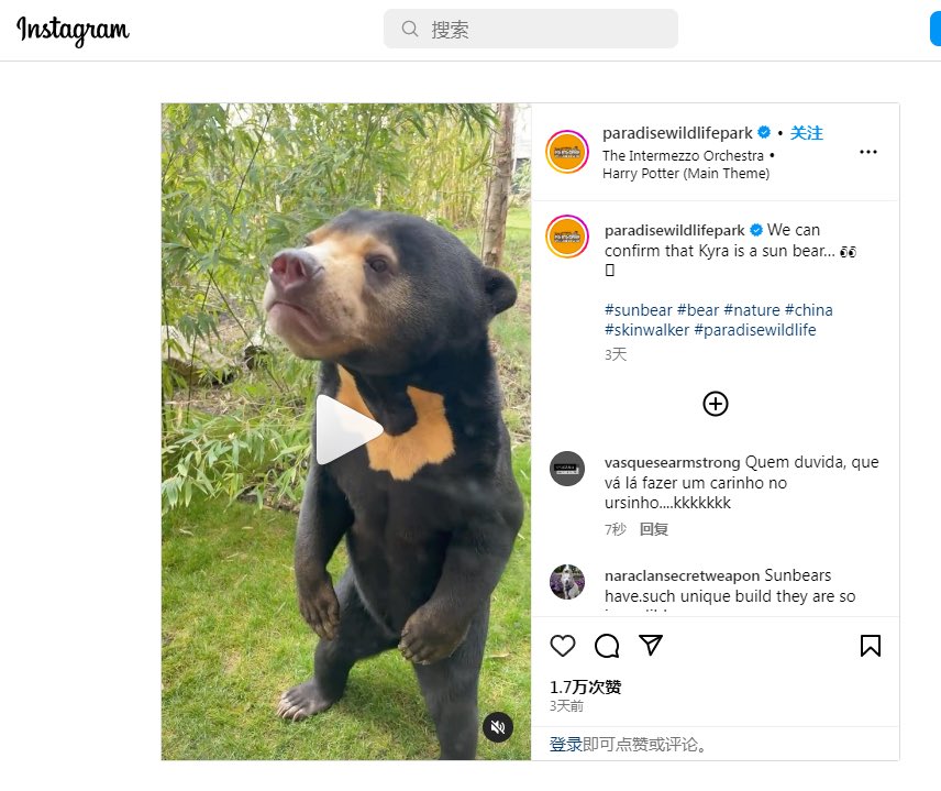 Talentlily's tweet photo. Alguns internautas da China questionaram o urso-do-sol em pé em Hangzhou foi um homem em vestido. O zoológico da Inglaterra atesta o animal é real. E no Brasil o estadão tá acompanhado a novidade. Que interessante um animal causou imenso debate por todo o mundo.😄🐻 https://t.co/FZUITZjqgn