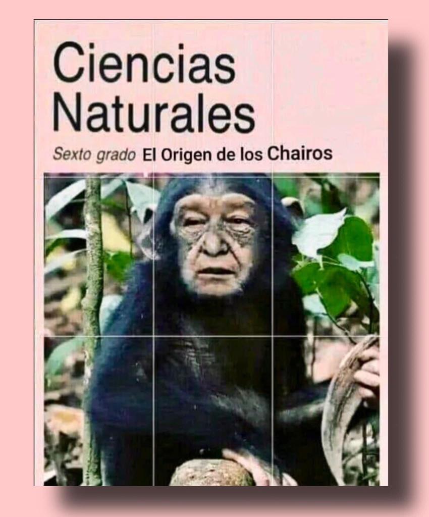 13_iracheta's tweet photo. Macuspanus simius destructorium https://t.co/bBu4zCadBo