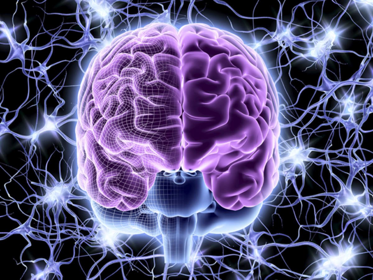 MY CURRENT BRAIN HEALTH STACK

Here’s how I protect my brain from neurodegeneration and support learning, memory &amp; cognition:

1. ALCAR (2g) — ALCAR can improve mood, learning &amp; memory; boost mental &amp; physical energy; improve attention; and improve cognitive function. In fact,