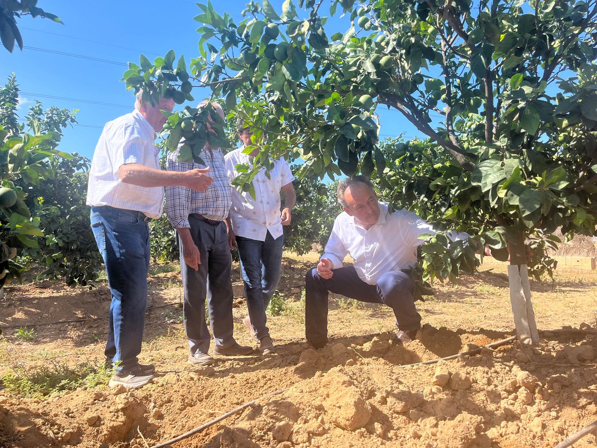 GVA Agricultura, Agua, Ganadería y Pesca tweet media