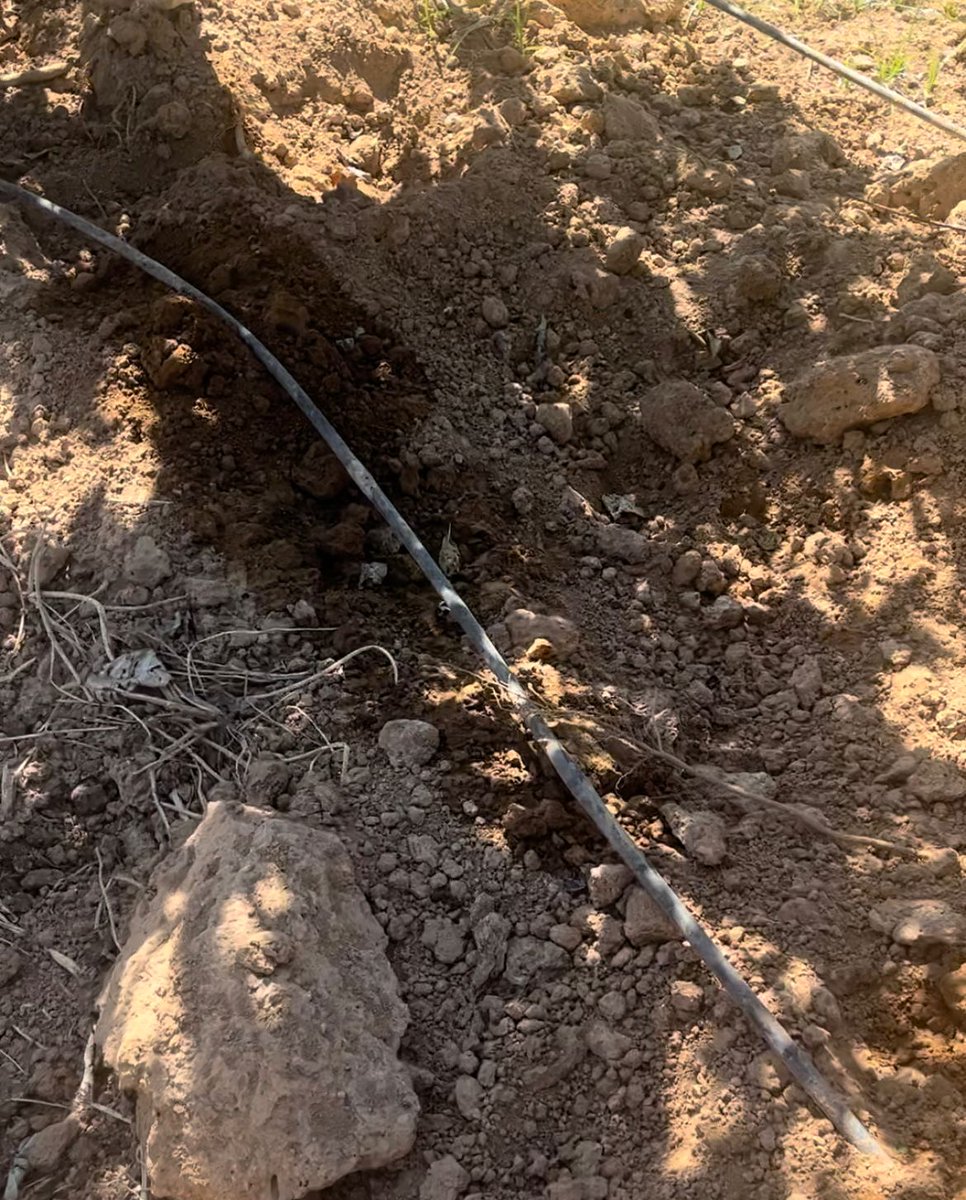 GVA Agricultura, Agua, Ganadería y Pesca tweet media