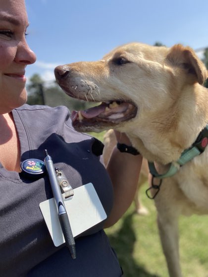 Dubs4Mutts's tweet photo. #AdoptDontShop
🐶 Nova 💕 in #ACAS_PAWS #SouthCarolina 🇺🇸 She’s a 10 yo puppy & getting stressed at the shelter! ☹️ I’m sweet & super cute! 🥰 Can you be my pawparent? 🐾🏡♥️ Can you foster me? #FostersSaveLives✨https://t.co/ic5G3TjQLn See also 📞 num👇🏼 #rehomehour #seniordog https://t.co/1nZB3zrkGP