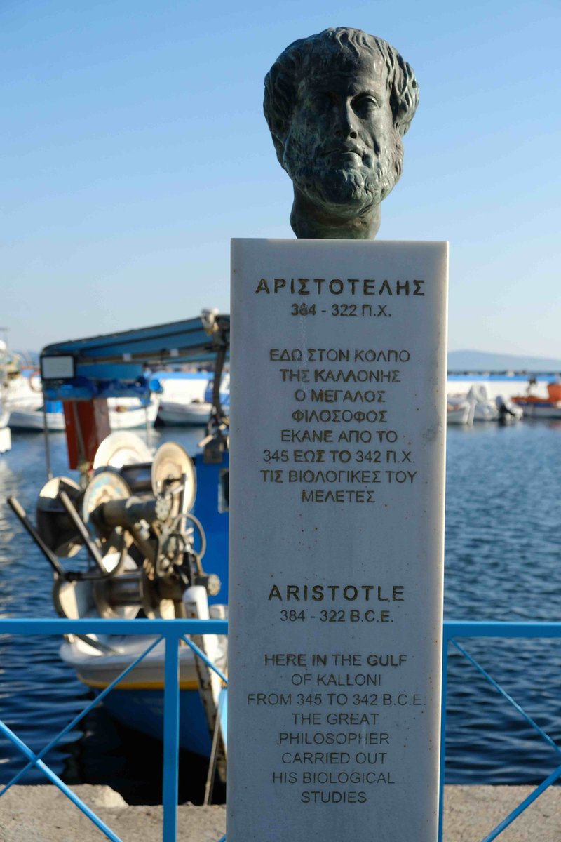 Mimi E. Lam tweet media