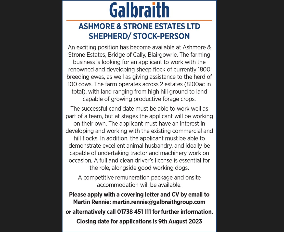Shepherd wanted! 

Contact Martin Rennie at martin.rennie@galbraithgroup.com for further information