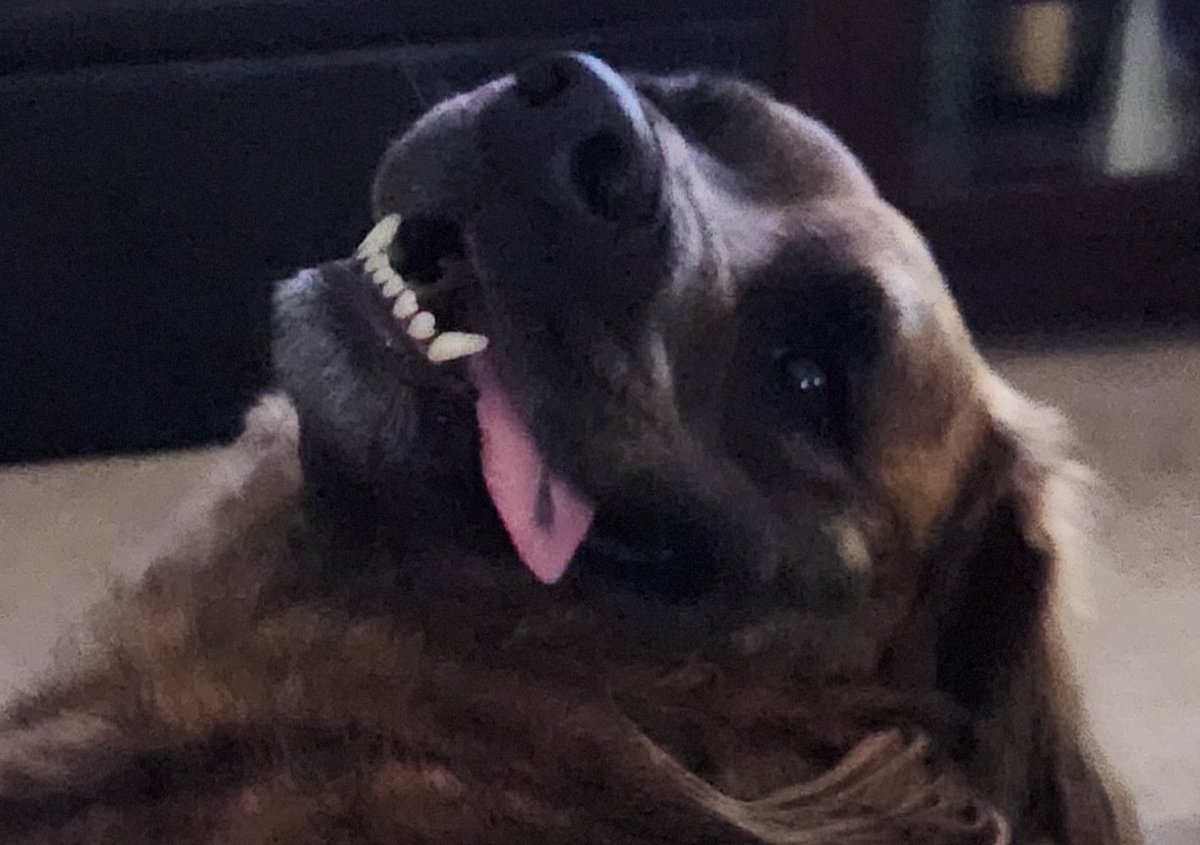 We start in 15 minutes. Happy Friday!
#NeonAbyss &amp; #Remnant2