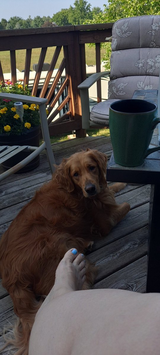 DaisywithPOTS's tweet photo. @strategywoman I'm a little late, but enjoying a cup on the deck. https://t.co/rqjIqOQrI7