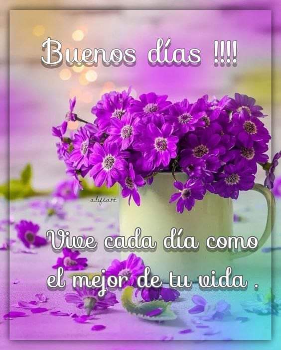 Flor Gaucín (@florgaucin76) on Twitter photo 