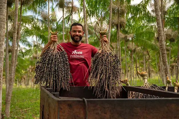 NegociosBelem's tweet photo. Fazenda de açaí adquire empresa para industrializar produto

Saiba todos os detalhes em: https://t.co/BruykIf8GB

#açai #inovação #empresa #industrialização #produto #negócios #belémnegócios #pará https://t.co/lRTikoZdnj