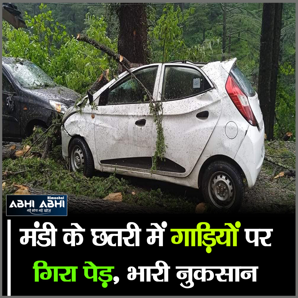 himachal_abhi's tweet image. मंडी के छतरी बाजार में दोपहर को भारी वर्षा के कारण अस्पताल के पास पेड़ गिर गया। पेड़ गिरने से इसके नीचे खड़ी गाड़ियों को भारी नुकसान हुआ।
.....................................
#treefell #hospital #Chhatri #Mandi #rain