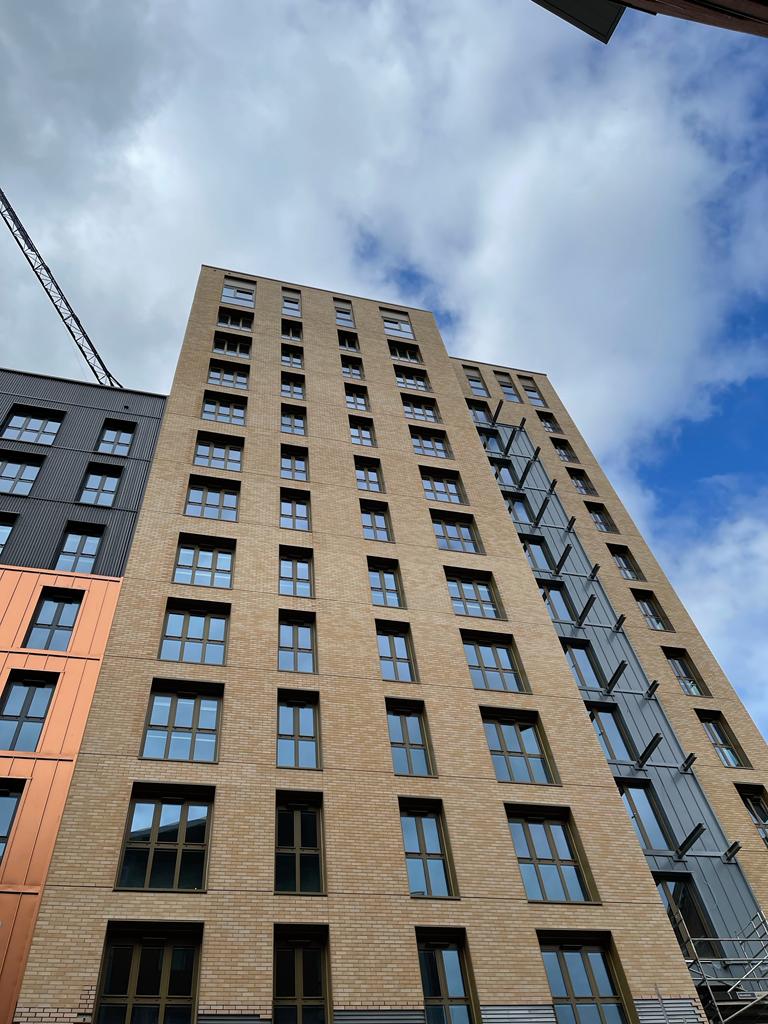 The Bush Consultancy tweet media