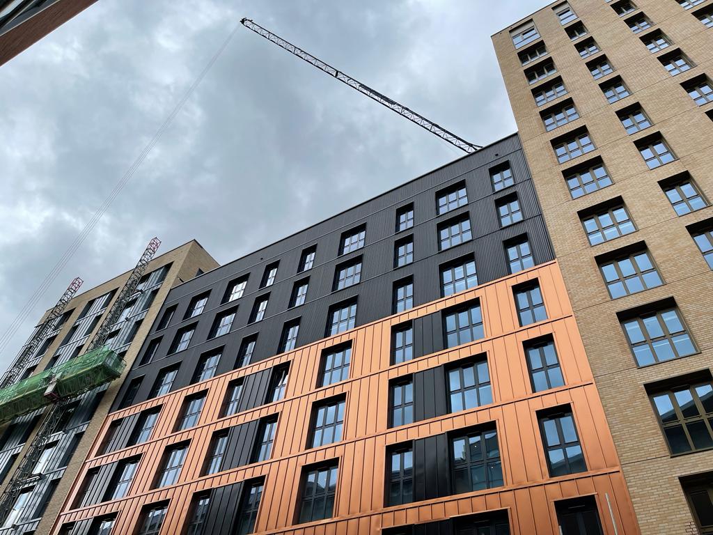 The Bush Consultancy tweet media