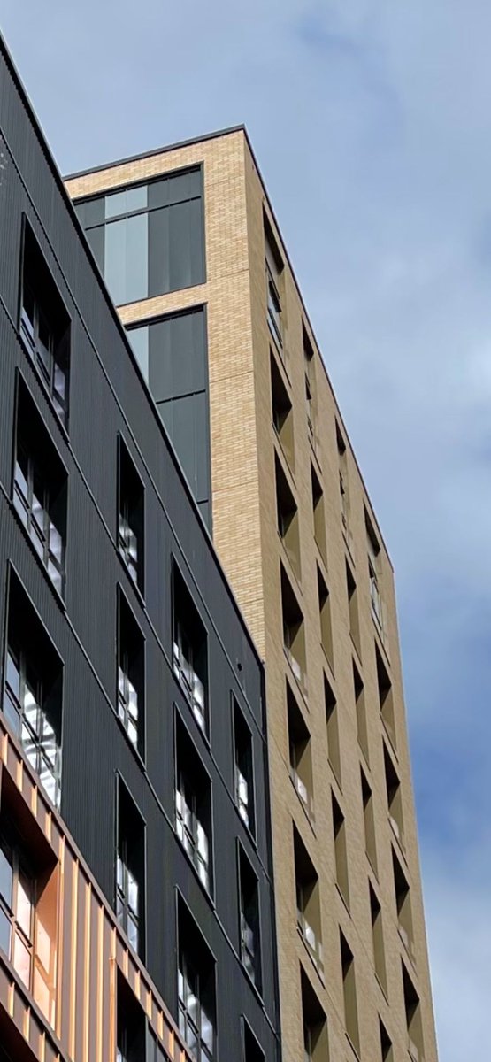 The Bush Consultancy tweet media