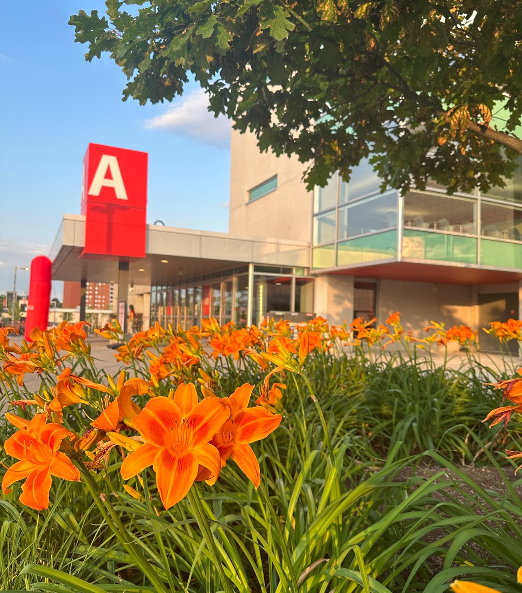 Ready for the long weekend? ☀️ 🕶️

To mark the Civic Holiday on Monday, Aug. 7, Seneca Polytechnic will be closed from the end of business day on Friday, Aug. 4, to the reopening on Tuesday, Aug. 8.

For information on service hours, visit MySeneca.

Enjoy responsibly. 🌼