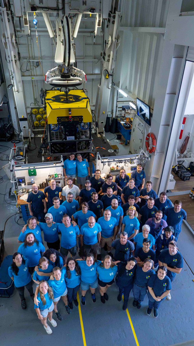 TinkaraTinta's tweet photo. Last 6 weeks I participated in #VentUnderworld expedition to East Pacific Rise aboard #FalkorToo. It was an unforgettable experience to work with amazing team of scientists and crew and witness exciting scientific discoveries. Many thanks to @bright_monika and @SchmidtOcean! https://t.co/xR38uLhwwO