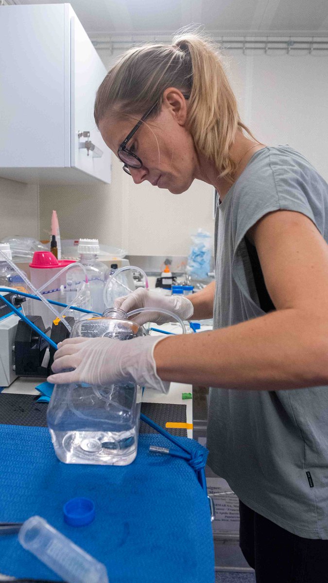 TinkaraTinta's tweet photo. Last 6 weeks I participated in #VentUnderworld expedition to East Pacific Rise aboard #FalkorToo. It was an unforgettable experience to work with amazing team of scientists and crew and witness exciting scientific discoveries. Many thanks to @bright_monika and @SchmidtOcean! https://t.co/xR38uLhwwO