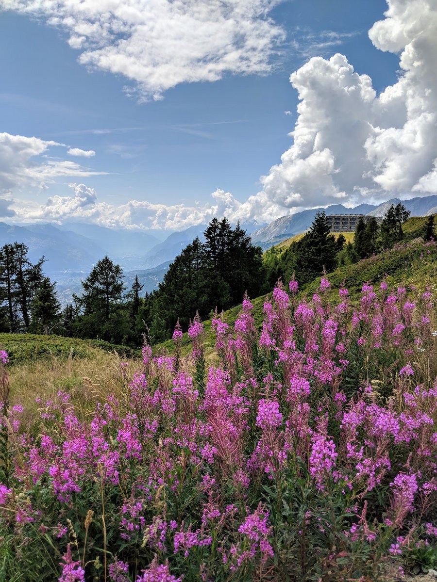 stackhodler's tweet photo. That feel when bond-heavy institutions are one ETF approval away from starting a bidding war for your #Bitcoin 

High-Alpine morning espresso hits different when you've front-run the suits. https://t.co/lkV2im4Nhr