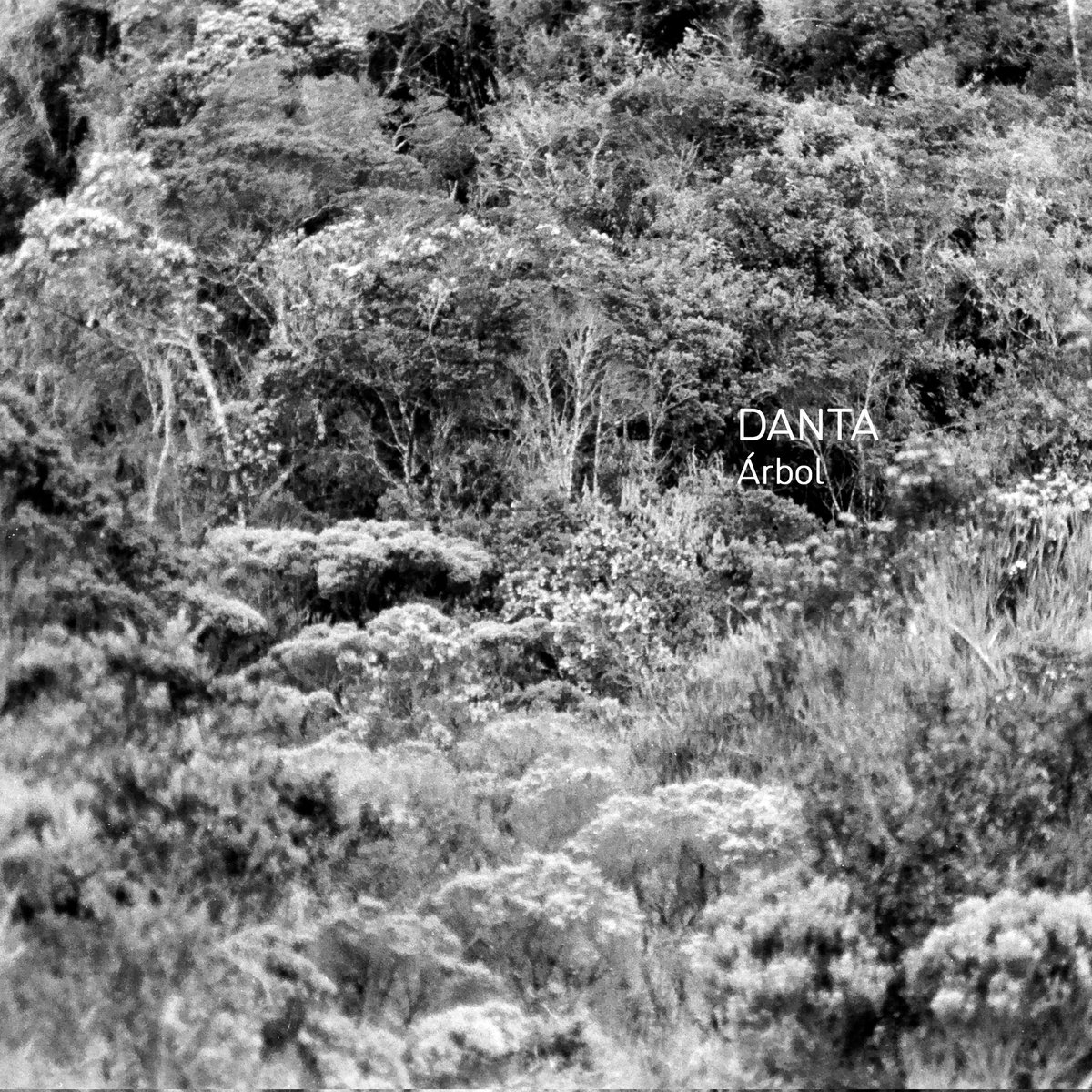 Nueva música con <a href="/labandadeltapir/">Danta</a> 🌳