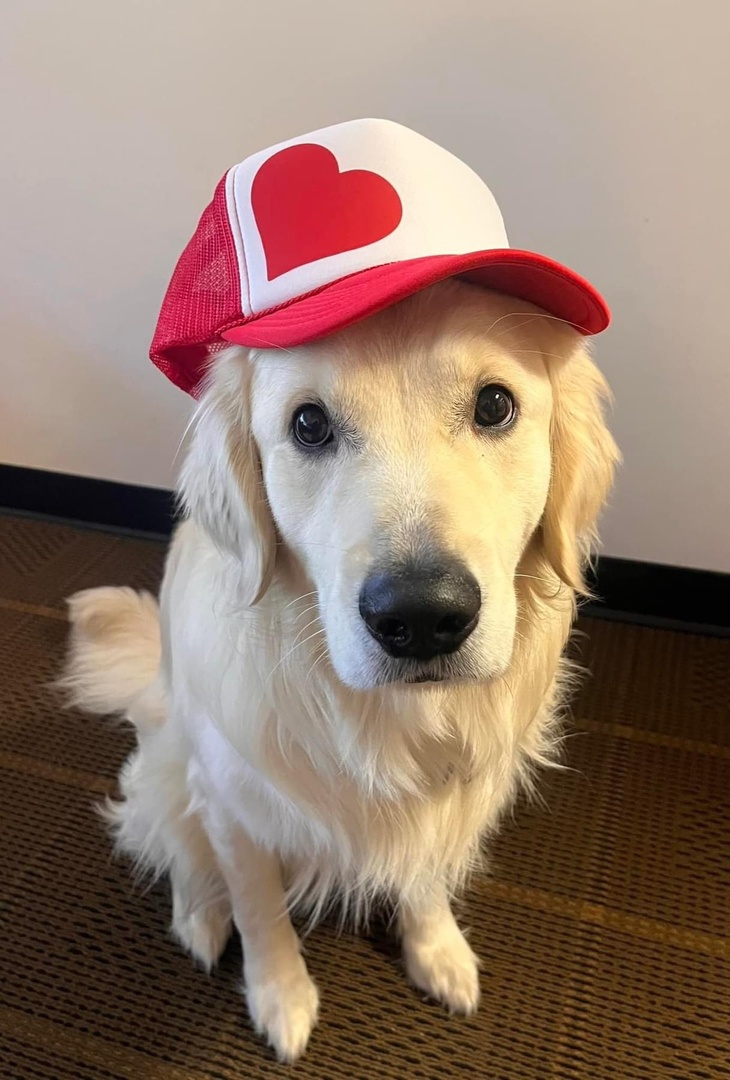 True Digital Group ❤️ tweet media