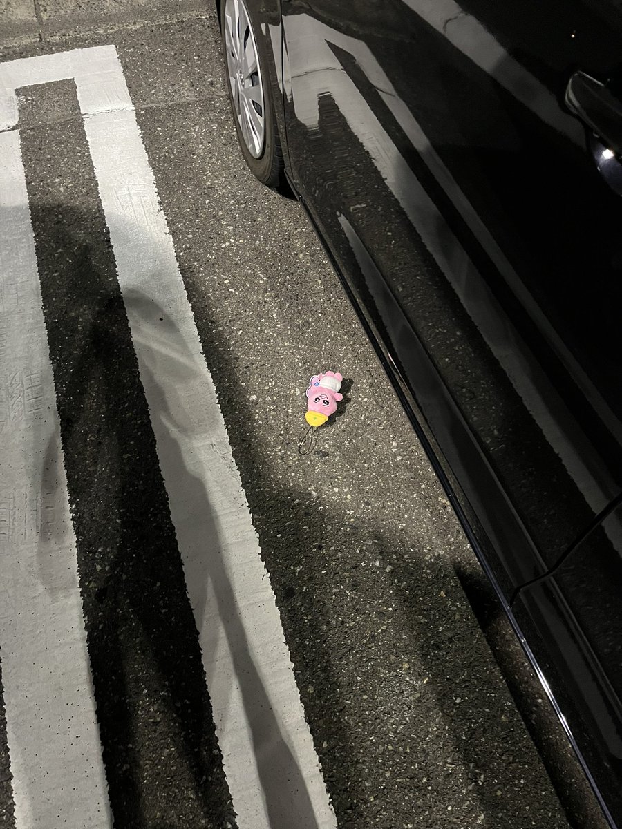 ppcup_ex's tweet photo. 今日の仕事の帰りに中古屋行ったら駐車場におぱんちゅうさぎ落ちてた

つくづく報われない奴だな、と https://t.co/MJghkbINEu