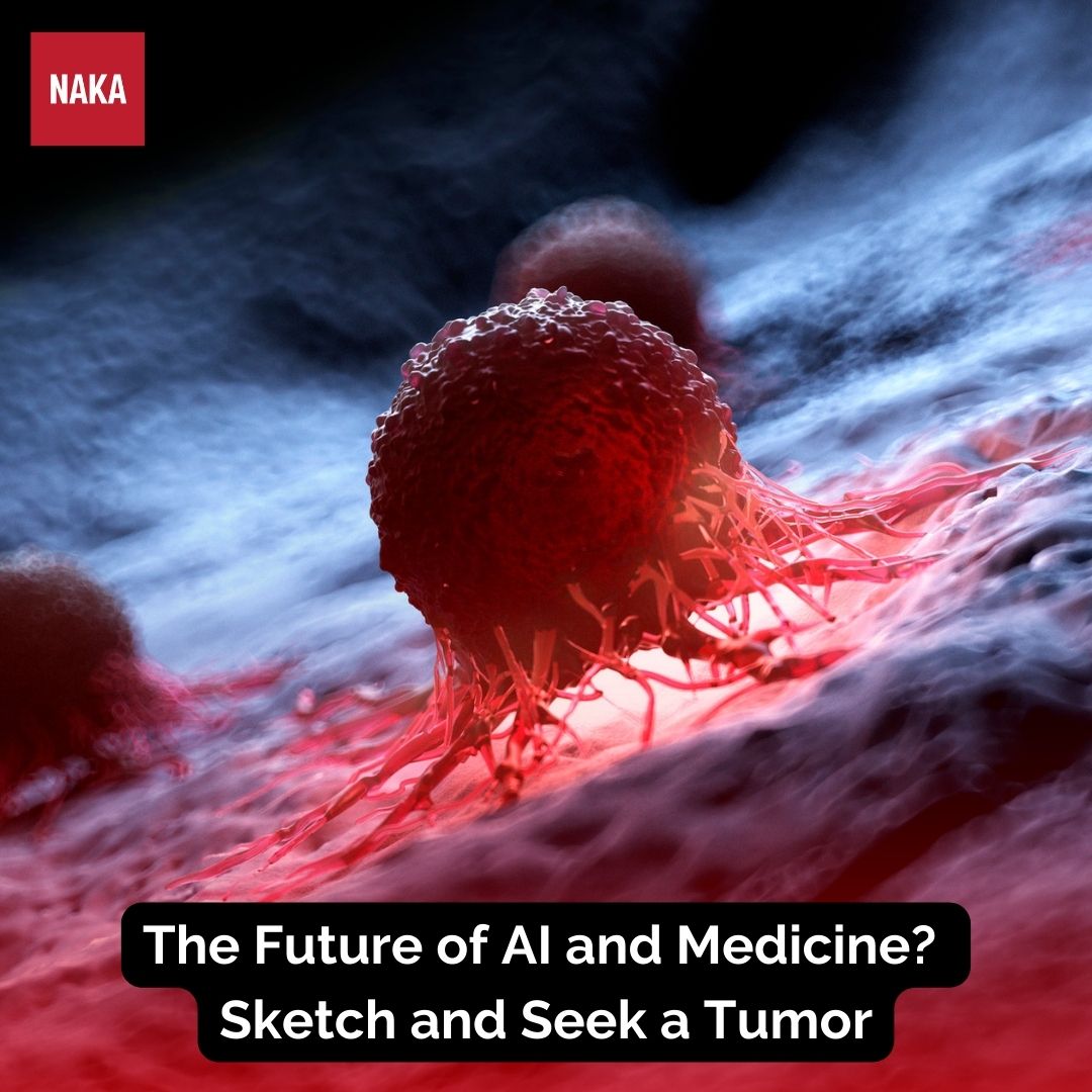 NakaConsulting's tweet photo. 🔬 Game-changing AI tool developed by researchers @UniOfSurrey detects specific objects in medical images, leading to advances in cancer detection! Sketch-based tool guides AI to find exact objects, like tumor characteristics, and ignore others. 🩺 #AIinMedicine #CancerDetection https://t.co/5ngMy0buk0
