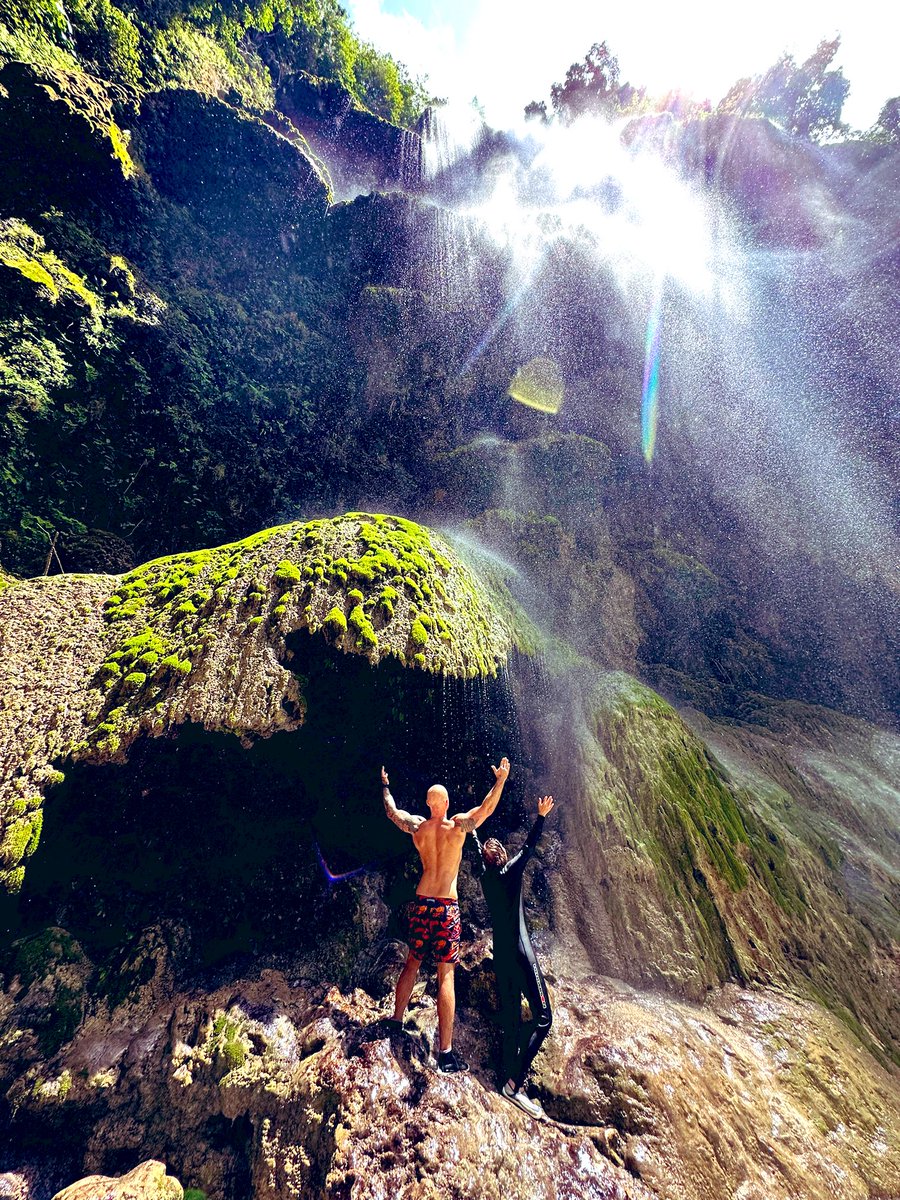 Crypto King tweet media