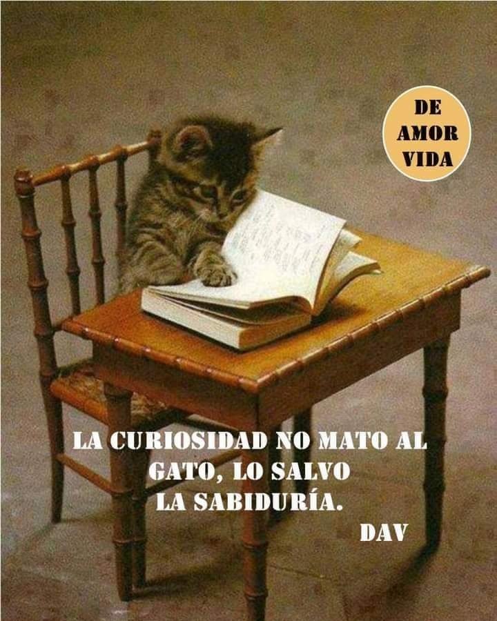 miriamsantanap1's tweet photo. https://t.co/wJFta3hLHA