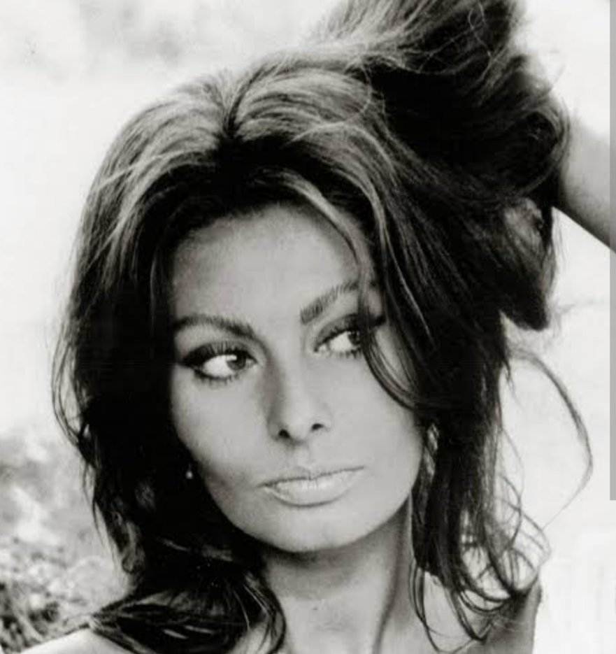 VladyHouse's tweet photo. Soñé que desayunaba con #sophialoren https://t.co/rH5Y1njXtu
