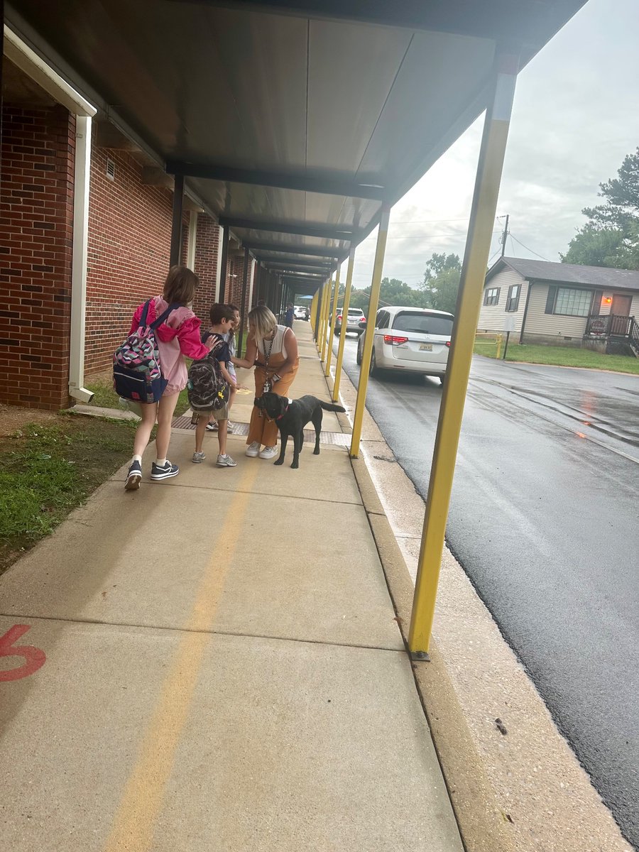 Stephanie Allen tweet media