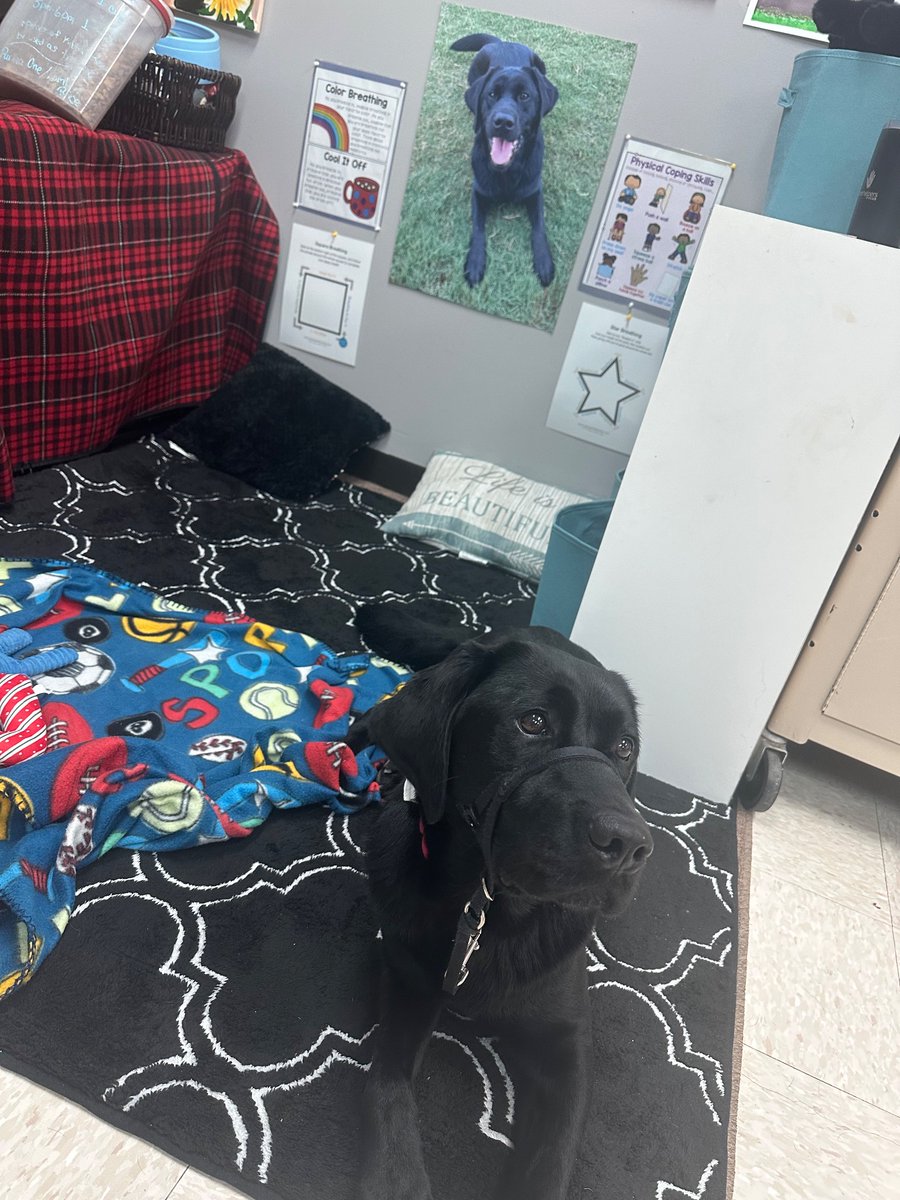 Stephanie Allen tweet media