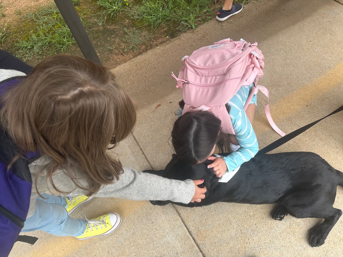 Stephanie Allen tweet media