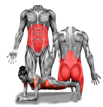 WorkoutsFat's tweet photo. Mastering Core Workouts: Your Guide to Abs Excellence (Abs-Core-Workouts 101)
#abscore #workout #strengthtraining
https://t.co/SCCfCISHjA https://t.co/SBtfvJtLFP