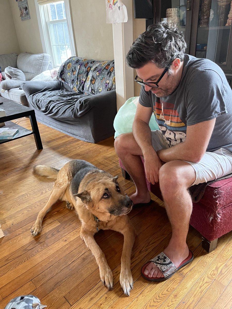 Mayoking tweet media