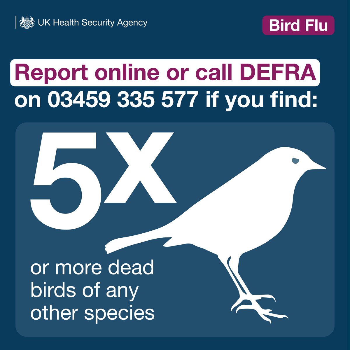 UK Health Security Agency tweet media