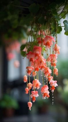 M62687551's tweet photo. @eimi185 @suqratIQ @B_M_PD @_0M01 @DrAlbideri @Ahlam04900191 @__hms0 @khalidali5262 @Eimirahahleh @jmanaskalaa @Albasha40835 @ab24324 @vkjha783 @55tt2c @Ahmed83n @_HSC2 @n0nanody11 @saman_trr #قروبات_البابلي_للاضافات
#دعم_رسائل_قلبي https://t.co/h3SXzgYHC6