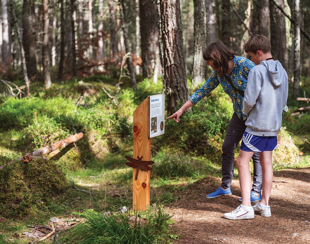 NatureScot's tweet photo. Here's the last of the many wonderful projects we've featured this week funded by our Natural &amp; Cultural Heritage Fund. Last but certainly not least is Wildlife Watch Abernethy! #ESIF #ERDF #europeanstructuralfunds @scotgovESIF  @RSPBLochGarten https://t.co/XNZV1yQwAH