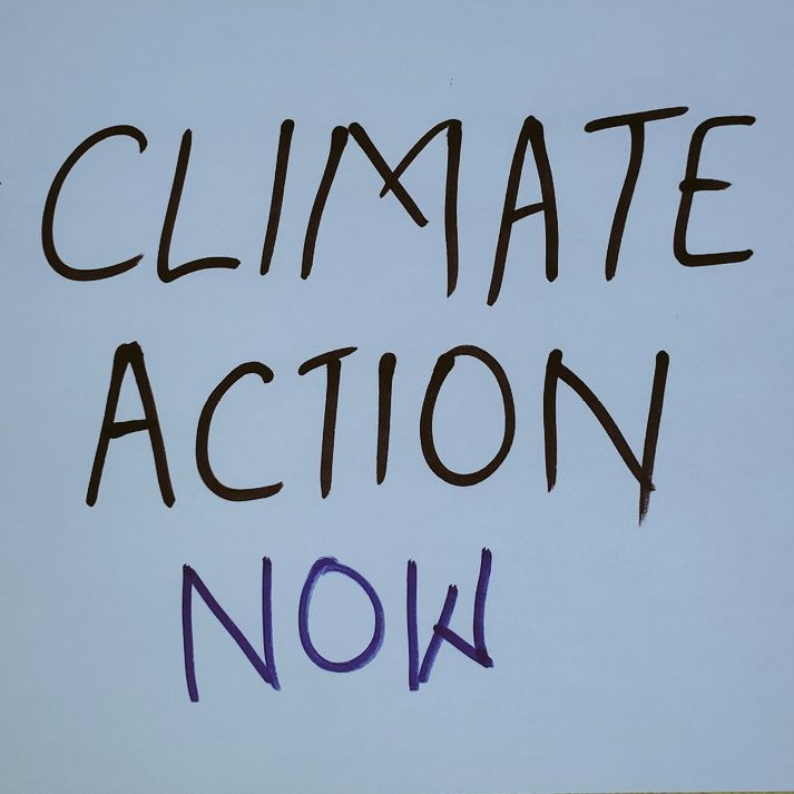 Strike for Climate; Strike for Climate migrants ; Strike for our commun future.
@Fridays4future
@FridaysTogo 
@vanessa_vash 
@GretaThunberg