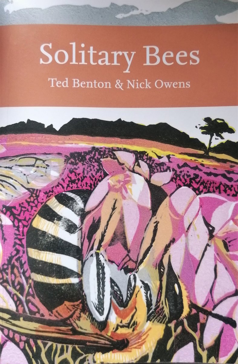 MarkCocker2's tweet photo. A veritable encyclopedia absolutely packed with information. My Unofficial Bookclub review of Solitary Bees by Nick Owen and Ted Benton. A book for those who strive to Bee Aware and, at 596 pages, for those who have strong wrists. https://t.co/CQZXN9VkJE https://t.co/1bQaylEo2f