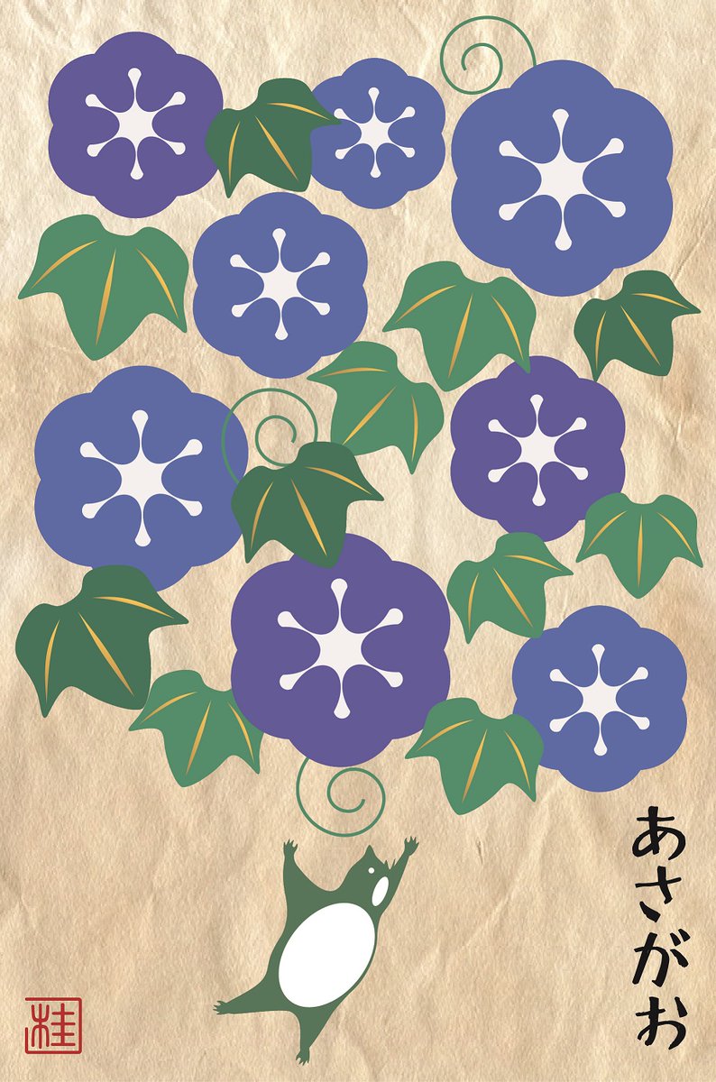 no humans morning glory flower leaf blue flower purple flower brown background  illustration images